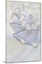 Close-Up of Pastel Seashell, Washington, USA-Jaynes Gallery-Mounted Photographic Print