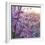 Close up of Peach tree blossom, Lleida, Catalonia, Spain-Juan Carlos Munoz-Framed Photographic Print