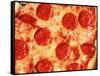 Close-up of Pepperoni Pizza-Mitch Diamond-Framed Stretched Canvas