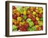 Close-Up of Peppers for Sale on a Food Stall, Arima, Trinidad, West Indies, Caribbean-Robert Harding-Framed Photographic Print