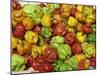 Close-Up of Peppers for Sale on a Food Stall, Arima, Trinidad, West Indies, Caribbean-Robert Harding-Mounted Photographic Print