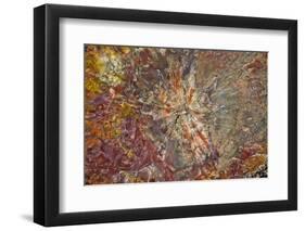 Close-up of petrified logs, Petrified Forest National Park, Holbrook, Arizona, USA.-Michel Hersen-Framed Photographic Print