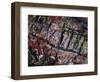 Close-Up of Petrified Wood-James Randklev-Framed Photographic Print