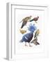 Close-Up of Pigeons-null-Framed Giclee Print