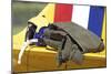 Close-Up of Pilot Gear on the Wing of a T-6 Texan-null-Mounted Photographic Print