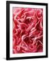 Close-Up of Pink Carnation-Clive Nichols-Framed Photographic Print