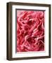 Close-Up of Pink Carnation-Clive Nichols-Framed Photographic Print