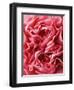 Close-Up of Pink Carnation-Clive Nichols-Framed Photographic Print