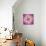 Close up of Pink Flower Quad-Tom Quartermaine-Giclee Print displayed on a wall