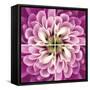 Close up of Pink Flower Quad-Tom Quartermaine-Framed Stretched Canvas