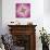 Close up of Pink Flower Quad-Tom Quartermaine-Giclee Print displayed on a wall