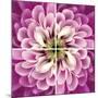 Close up of Pink Flower Quad-Tom Quartermaine-Mounted Giclee Print