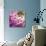 Close up of Pink Flower-Tom Quartermaine-Giclee Print displayed on a wall
