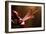 Close Up of Pink Lily. Selective Focus-Daniil Belyay-Framed Photographic Print