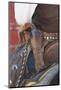 Close-Up of Pistol on Cowboy's Belt-Darrell Gulin-Mounted Photographic Print