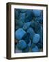 Close Up of Polished Turquoise Stones Used by Native Americans in Manufacture of Jewelry-Michael Mauney-Framed Photographic Print