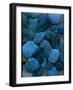 Close Up of Polished Turquoise Stones Used by Native Americans in Manufacture of Jewelry-Michael Mauney-Framed Photographic Print