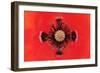 Close-Up of Poppy Flower Stamens and Stigma, La Serena, Extremadura, Spain, April 2009-Widstrand-Framed Photographic Print