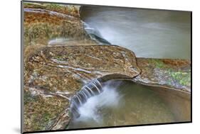 Close Up of Potholes, at Fall Creek Gorge, Warren County, Indiana-Rona Schwarz-Mounted Photographic Print