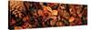 Close-up of Potpourri-null-Stretched Canvas