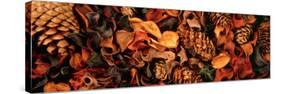 Close-up of Potpourri-null-Stretched Canvas