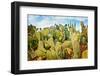Close up of Prickly Pear Cactus in Desert.-luckybusiness-Framed Photographic Print