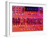 Close-up of Printed Circuit Board-PASIEKA-Framed Photographic Print