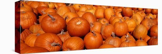 Close-up of Pumpkins-null-Stretched Canvas