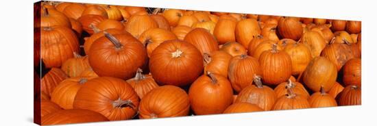 Close-up of Pumpkins-null-Stretched Canvas