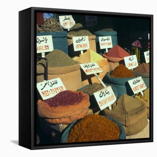 Close Up of Pyramids of Loose Spices for Sale in Local Market, Aswan, Egypt, North Africa, Africa-Eitan Simanor-Framed Stretched Canvas