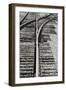 Close Up of Railroad Tracks, Santa Fe, New Mexico, USA-Julien McRoberts-Framed Photographic Print