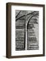 Close Up of Railroad Tracks, Santa Fe, New Mexico, USA-Julien McRoberts-Framed Photographic Print