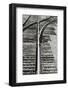 Close Up of Railroad Tracks, Santa Fe, New Mexico, USA-Julien McRoberts-Framed Photographic Print