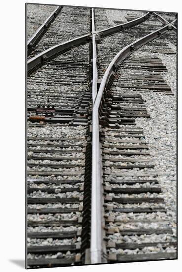 Close Up of Railroad Tracks, Santa Fe, New Mexico, USA-Julien McRoberts-Mounted Photographic Print