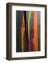 Close-up of Rainbow Eucalyptus (Eucalyptus deglupta) tree, Maui, Hawaii, USA-null-Framed Photographic Print