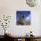 Close-Up of Rano Rarakay, Stone Head Carved from Crater, Moai Stone Statues, Easter Island, Chile-Geoff Renner-Photographic Print displayed on a wall