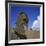 Close-Up of Rano Rarakay, Stone Head Carved from Crater, Moai Stone Statues, Easter Island, Chile-Geoff Renner-Framed Photographic Print