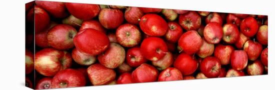 Close-up of Red Apples-null-Stretched Canvas