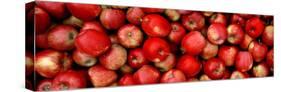 Close-up of Red Apples-null-Stretched Canvas
