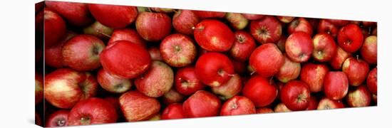 Close-up of Red Apples-null-Stretched Canvas