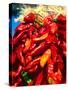 Close-up of red chilies, Taos, New Mexico, USA-null-Stretched Canvas