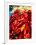 Close-up of red chilies, Taos, New Mexico, USA-null-Framed Photographic Print