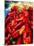 Close-up of red chilies, Taos, New Mexico, USA-null-Mounted Photographic Print