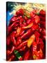 Close-up of red chilies, Taos, New Mexico, USA-null-Stretched Canvas