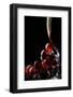 Close-Up of Red Grapes and a Glass of Red Wine-Johan Swanepoel-Framed Photographic Print