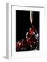 Close-Up of Red Grapes and a Glass of Red Wine-Johan Swanepoel-Framed Photographic Print