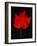 Close-up of red Maple leaf against black background-Panoramic Images-Framed Photographic Print