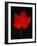 Close-up of red Maple leaf against black background-Panoramic Images-Framed Photographic Print