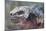 Close-Up of Red Marine Iguana-Paul Souders-Mounted Photographic Print