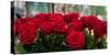 Close-Up of Red Roses in a Bouquet During Sant Jordi Festival, Barcelona, Catalonia, Spain-null-Stretched Canvas